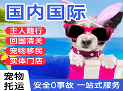 大连航空快递国际宠物托运 【国
